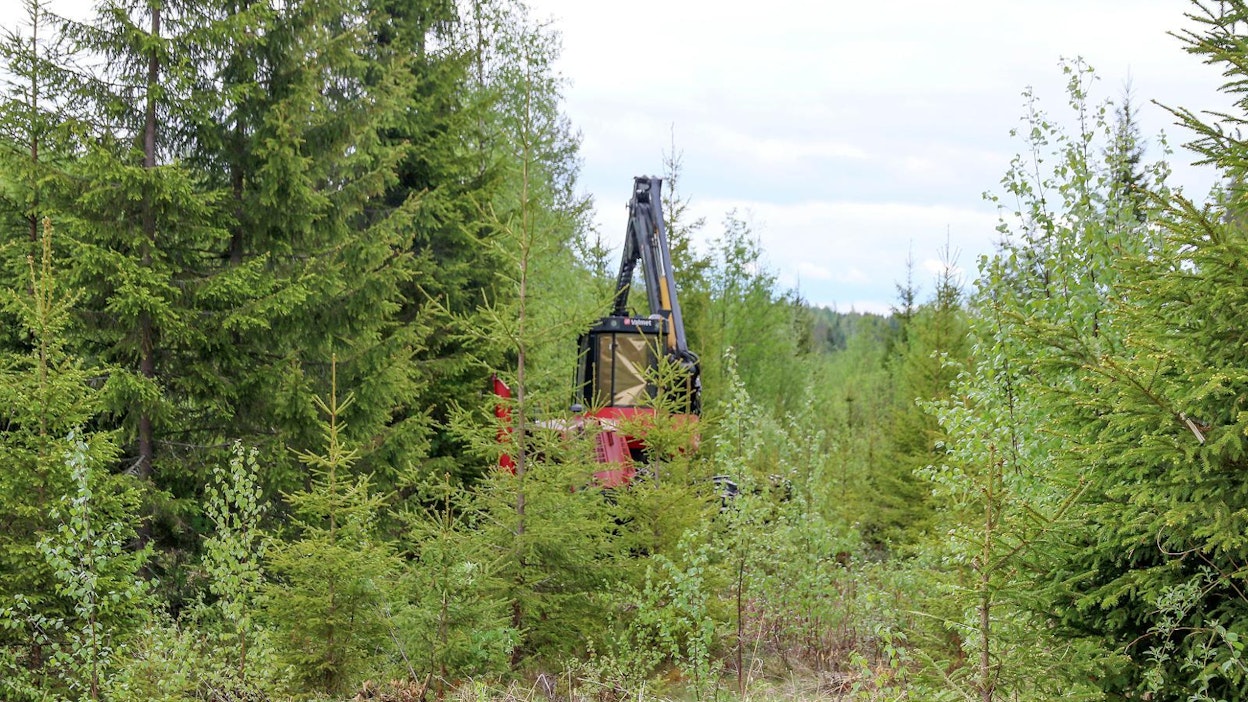 Koneellista taimikonhoitoa on yritetty tuoda Suomenkin metsiin jo pitkään. Silti sen edut ovat jääneet manuaalisen työn kustannusetujen jalkoihin. Tulevaisuudessa tilanne voi muuttua, kun koneella suoritettavaan työskentelyyn voidaan lisätä muutakin toimintaa, kuten lannoitusta ja kantojenkäsittelyä – lehtipuiden kantojen lahottamiseen ja havupuukantojen lahottajien leviämisen estämiseen.