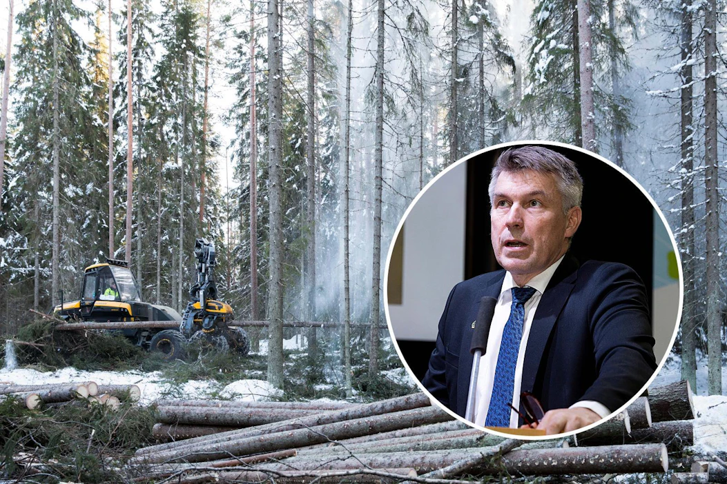 MTK:n mukaan metsäkeskustelun sävy uhkaa metsien hyödyntämisen lisäksi myös monimuotoisuutta.