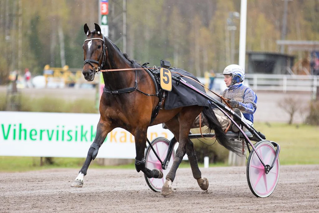 Jorma Kontion ohjastama Elian Web - keulaan ja miljoona kruunua Paralympiatravetin finaalissa?