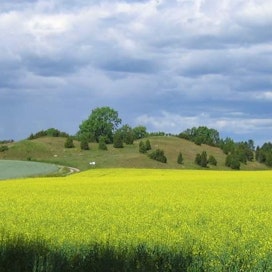 Ruotsi valmistautuu pienempään maatalousbudjettiin. Vuosien 2021–2027 EU:n maatalousbudjetti voi olla 10–20 prosenttia nykyistä pienempi https://commons.wikimedia.org/wiki/File:Vallsg%C3%A4rde.jpg