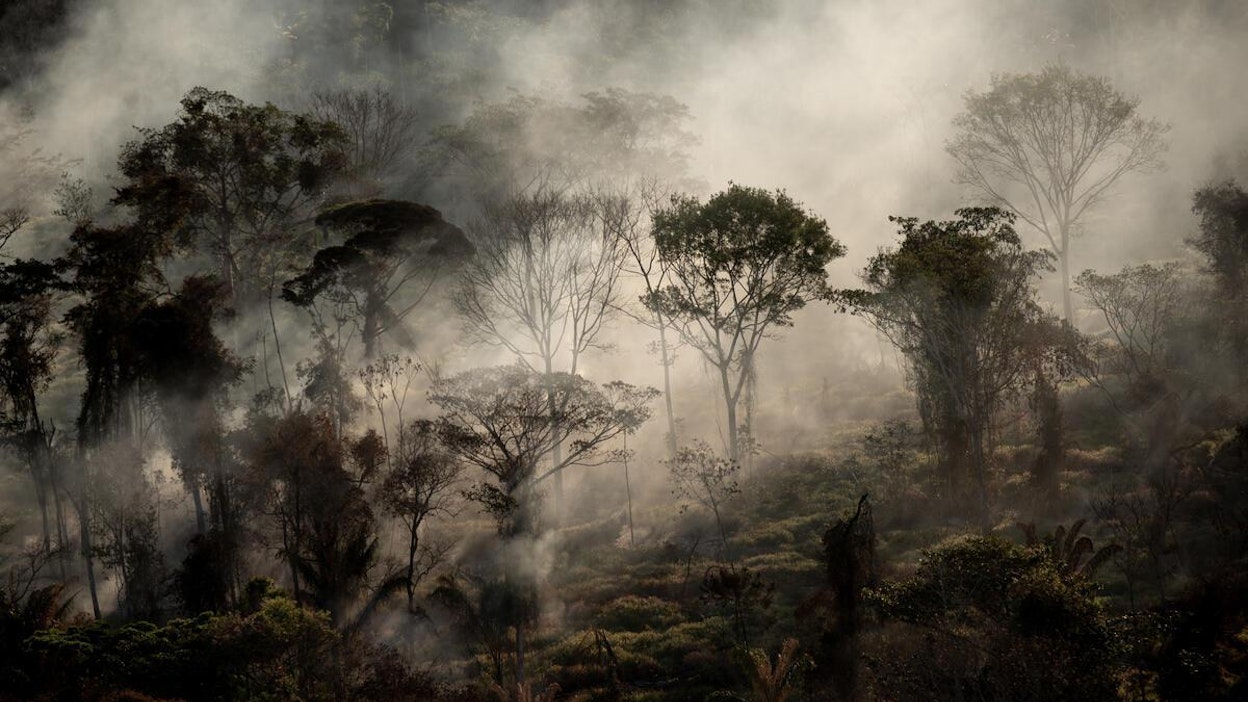 Kuva metsäpalosta Alta Florestassa, Mato Grosson osavaltiossa.