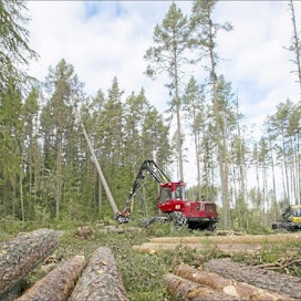 Sami Karppinen Ennakkotietojen perusteella metsäkoneyritysten tulosten odotetaan paranevan hieman viime vuodesta. Keski-Suomen Metsä-Kympin koneet korjasivat puuta torstaina Viitasaarella.