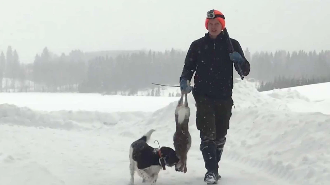 Niklas Lindeforsia ei haittaa tuppurainen keli. Sajaniemen hirviveikkojen rusakkojahti meni onnistuneissa merkeissä.