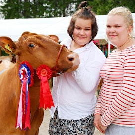 Suvi ja Tiia Keinänen ovat innostuneet karjanäyttelyistä. Suvilla on viisi omaa näyttely-eläintä, joista Hini valittiin suomenkarjan championiksi perjantaina. jonna takkunen