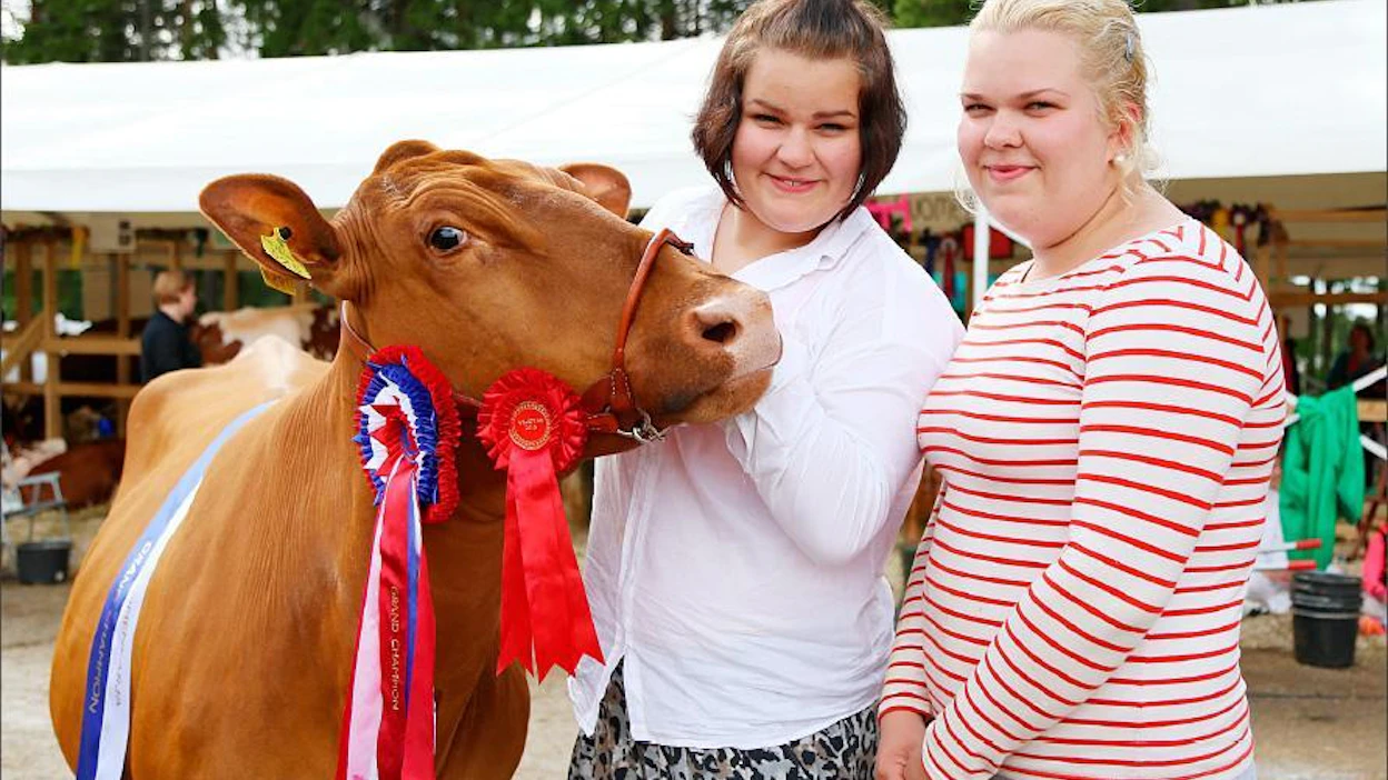 Suvi ja Tiia Keinänen ovat innostuneet karjanäyttelyistä. Suvilla on viisi omaa näyttely-eläintä, joista Hini valittiin suomenkarjan championiksi perjantaina. jonna takkunen