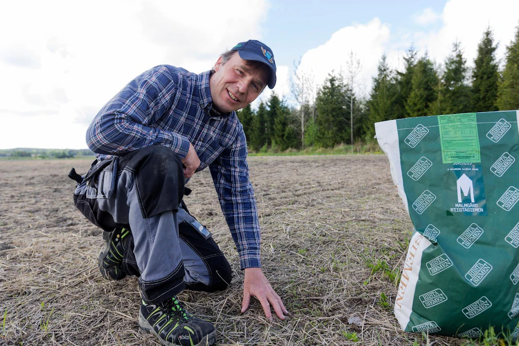 Johan Weurlander sijoittaa riistapellon lähelle metsänreunaa rauhalliseen paikkaan.