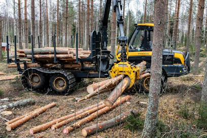 Kuiva syksy on suosinut puunkorjuuta. Metsäkoneenkuljettaja Jonne Julkunen teki kuormaa harvennusleimikossa tänään maanantaina Karttulassa Kuopiossa.