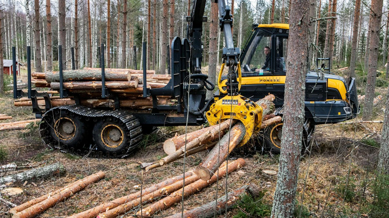 Kuiva syksy on suosinut puunkorjuuta. Metsäkoneenkuljettaja Jonne Julkunen teki kuormaa harvennusleimikossa tänään maanantaina Karttulassa Kuopiossa.