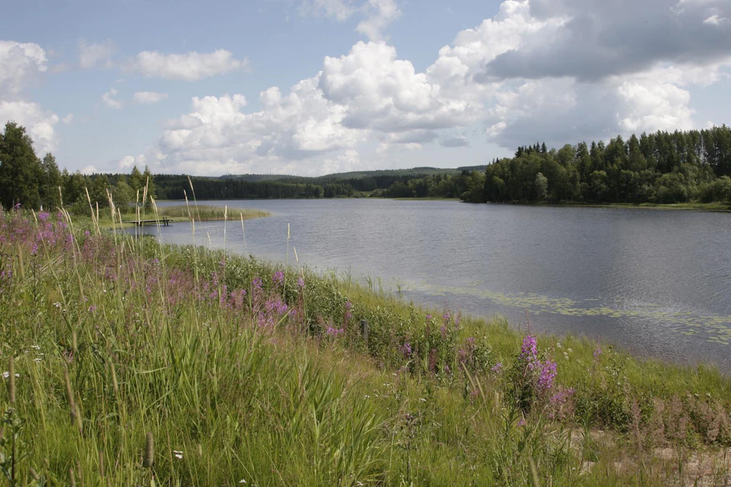 Suomen järvissä saattaa olla yllättävä määrä mikromuovia. Sitä kulkeutuu vesistöihin esimerkiksi pesuvesistä.