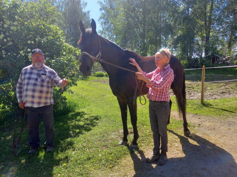 Paavo Pitkäsen, Ukebell Jetin ja Riitta Pitkäsen kesäfiiliksiä.