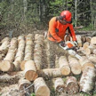 Paksujen pölkkyjen katkonnassa ja järeiden lehtipuiden hakkuulla tehokkaat sahat ovat elementissään. Stihl venyttää tehopainosuhdetta entistä paremmaksi uudella MS 400 C-M -mallillaan – 70-kuutioisen tehot 60-kuutioisen kuorissa.