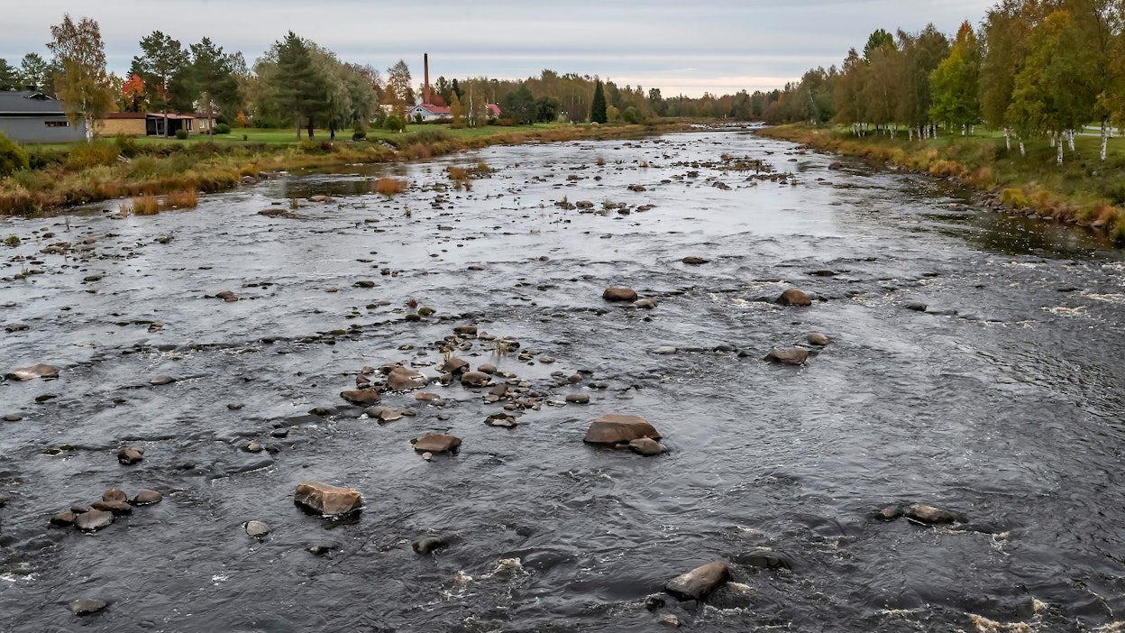 Suomessa rahoitusta saa jokihelmisimpukan elinympäristöä kehittävä hanke.