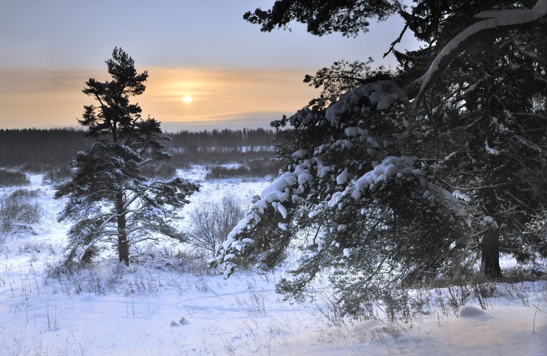 Talvipäivänseisaus on vuosittain joulukuun 21. tai 22. päivänä. LEHTIKUVA / PEKKA SAKKI