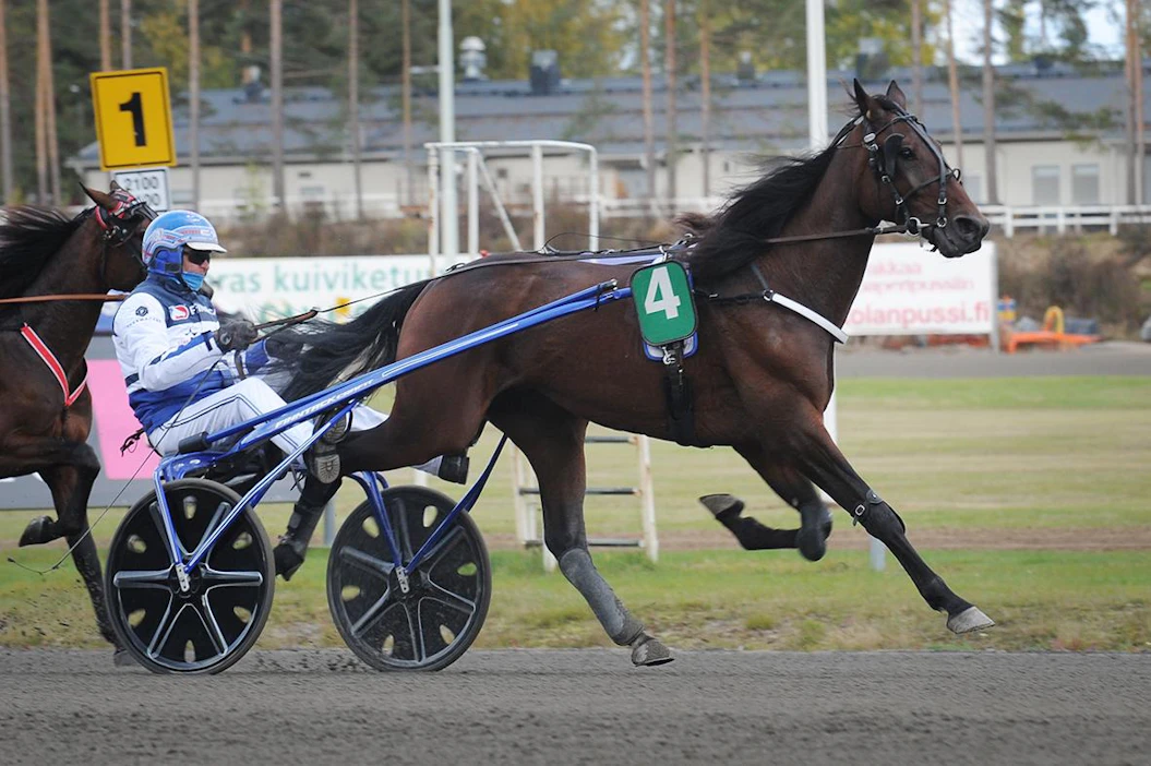 Pekka Korven Qvidja's Aapo kiersi 12-paikalta 4. rataa pitkin upeasti välieränsä kakkoseksi ja sai finaaliin kolmosradan.