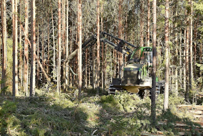 Metsä Group kertoi syyskuussa perustavansa Kajaaniin uuden hankintapiiriin. Metsä Groupin metsäjohtaja Juha Mäntylän mukaan uuden piiripäällikön rekrytointi on nyt meneillään.