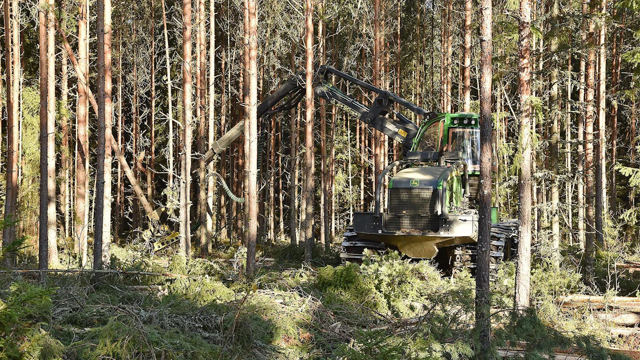 Metsä Group kertoi syyskuussa perustavansa Kajaaniin uuden hankintapiiriin. Metsä Groupin metsäjohtaja Juha Mäntylän mukaan uuden piiripäällikön rekrytointi on nyt meneillään.