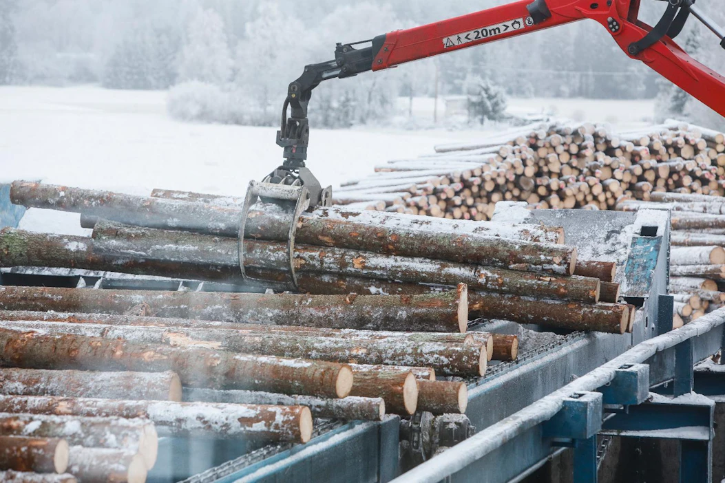 Puukauppa on lähtenyt vilkkaasti käyntiin. Vuoden viiden ensimmäisen viikon aikana Metsäteollisuus ry:n jäsenten ostot nousivat 4,3 miljoonaan kuutioon.