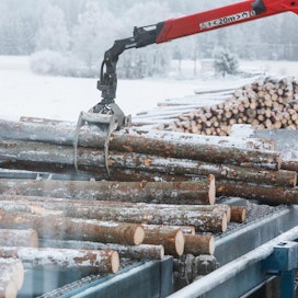 Puukauppa on lähtenyt vilkkaasti käyntiin. Vuoden viiden ensimmäisen viikon aikana Metsäteollisuus ry:n jäsenten ostot nousivat 4,3 miljoonaan kuutioon.