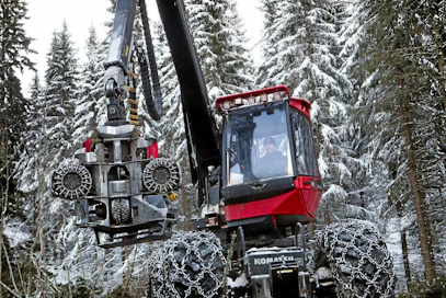 Sotkamon mhy:n päätehakkuu vaaramaisemassa. Monitoimikoneenkuljettaja Markus Määttä kaatoi 90-vuotiasta kuusikkoa Sotkamon Hyvölässä.
 METSÄPLUS 9.12.2013