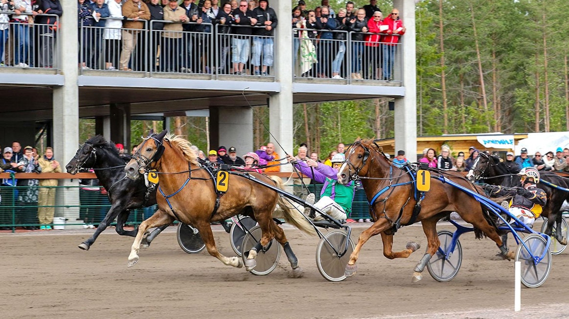 Jo viime vuoden Nordic King oli vauhtijuhla vailla vertaa. Neljä hevosta paineli alle 1.20:n: Costello (2), Välähdys (1), Månprinsen A.M. ja Lome Brage. Kuvat: Anu Leppänen.