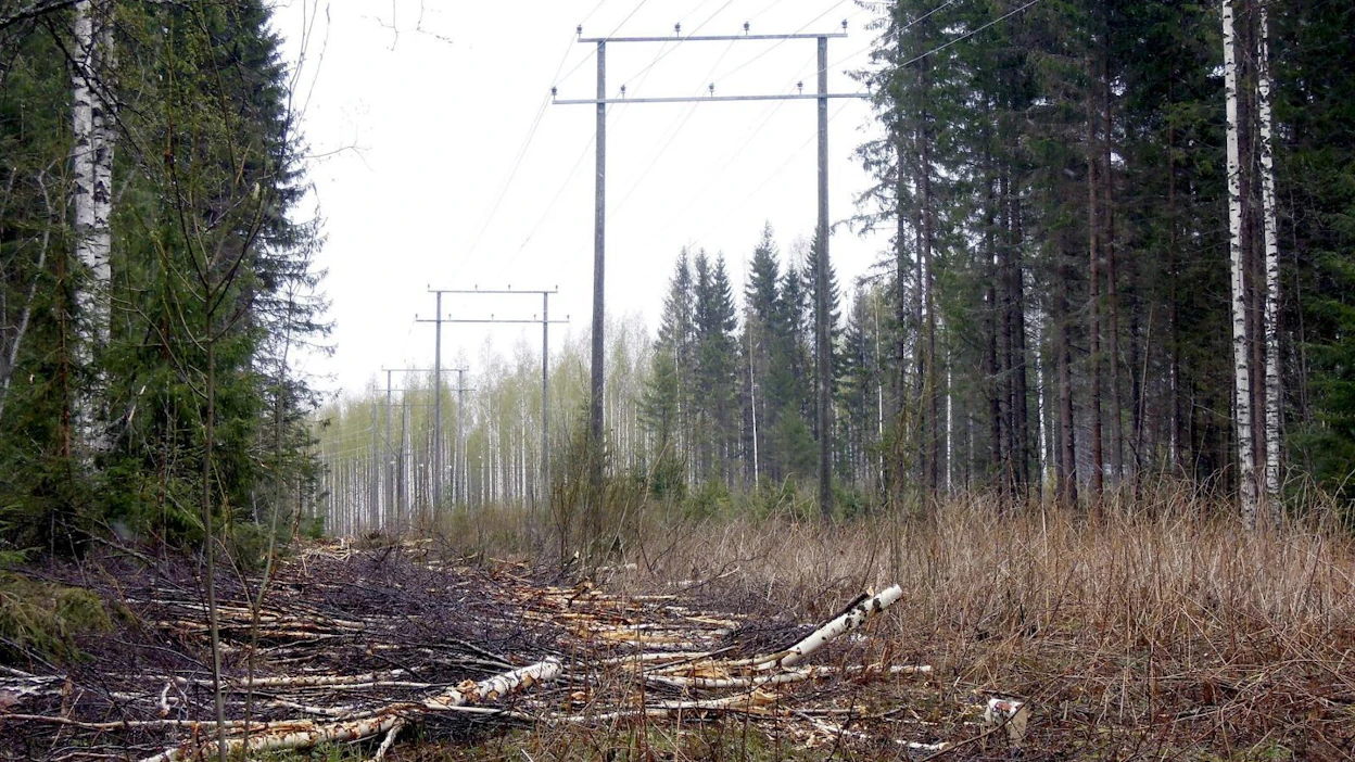 Tyypillinen lunastustilanne on muun muassa sellainen, jossa vedetään voimajohtoja metsänomistajan maiden läpi. LEHTIKUVA / Ritva Siltalahti