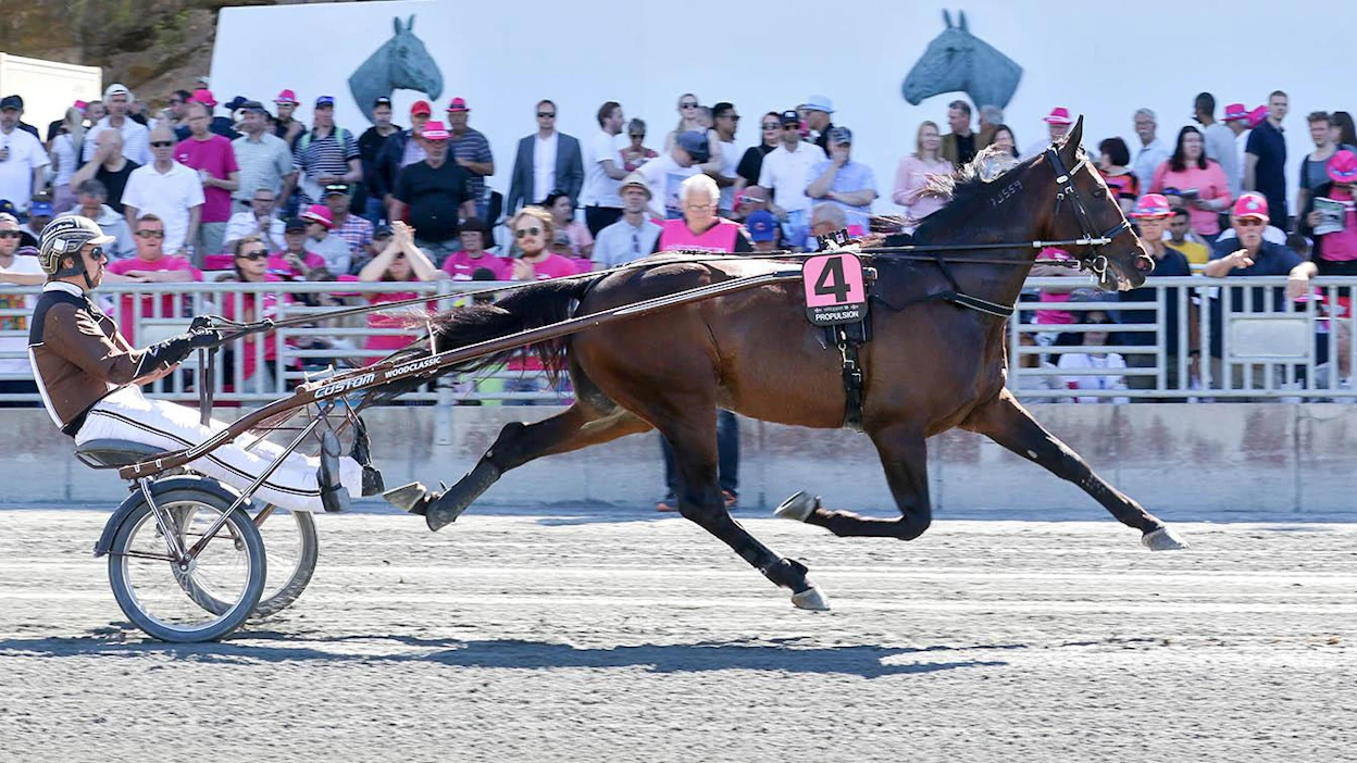 Kuvassa on 2018 Elitloppetin alla lämmittelevä Propulsion. Sen vuoden ikäinen täysveli Damien ostettiin tiistaina Lexingtonista samaan paikkaa Ruotsiin miljoonalla dollarilla!