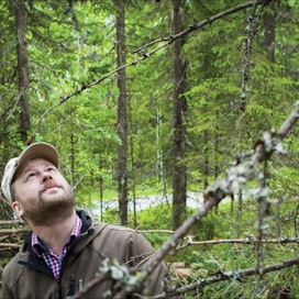 Kari Kangas tutkailee metsässä puiden kasvupotentiaalia. Samuli Kuittinen