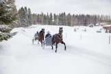 Pörsänmäessä on ollut hyvä treenitalvi. Jani Hartikainen edellä Easy Vacationilla. Perässä seuraa Sami Taimela Wilful Weaklingilla.