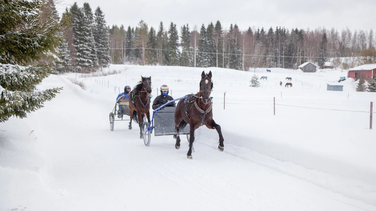 Pörsänmäessä on ollut hyvä treenitalvi. Jani Hartikainen edellä Easy Vacationilla. Perässä seuraa Sami Taimela Wilful Weaklingilla.