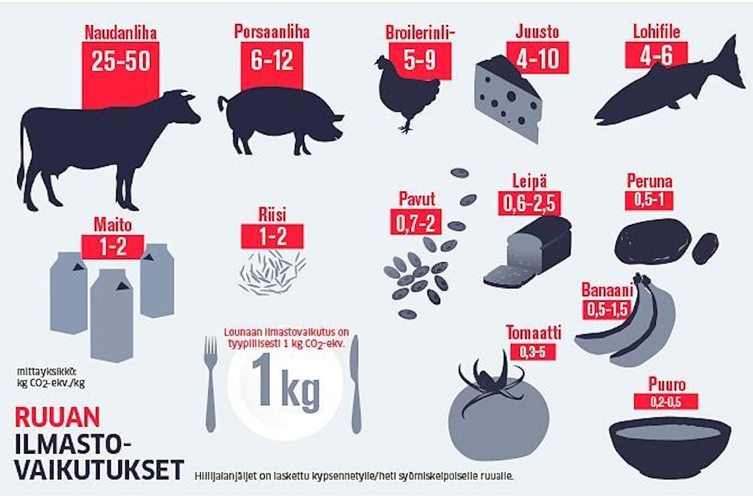 Nämä ovat eri ruokien ilmastovaikutukset: Perunaa parempaa ilmastoruokaa ei  ole - Mielipide - Maaseudun Tulevaisuus