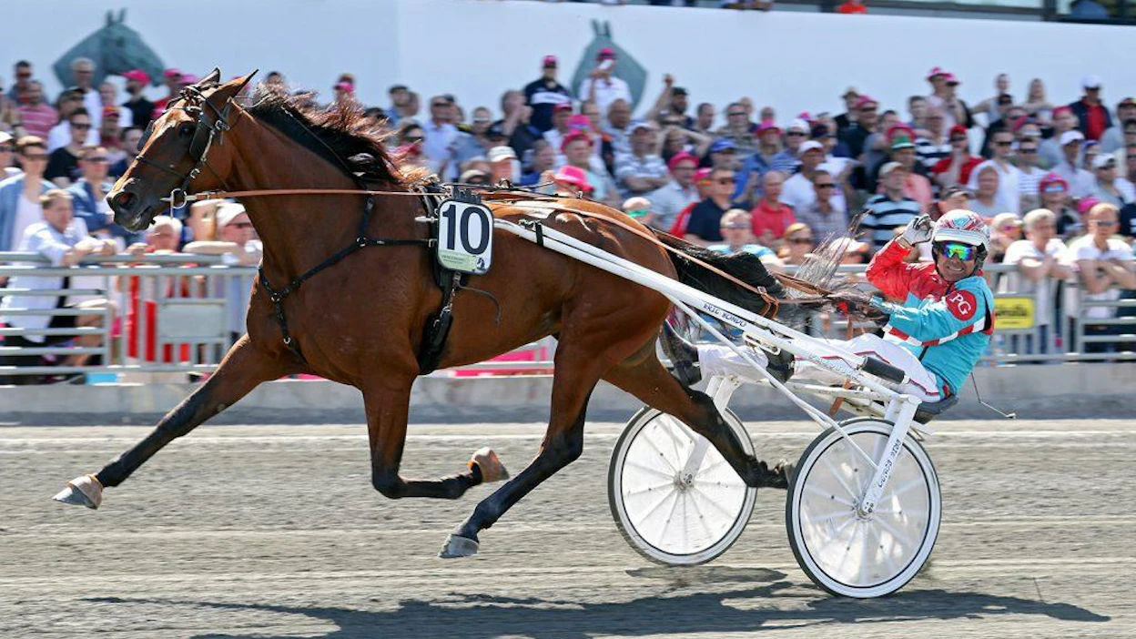 Shadow Gar ja Pietro Gubellini olivat ylivoimaisia avoimessa tammalähdössä. Minulle tämä tamma on maailman ykkönen, Pippo Gubellini lausui.