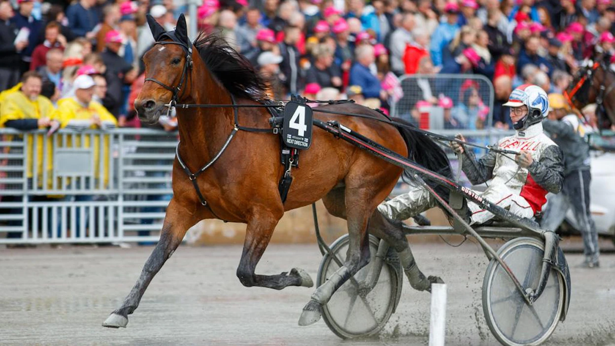 Next Directionista on lupa odottaa seuraavaa suomalaista Elitloppet-edustajaa.