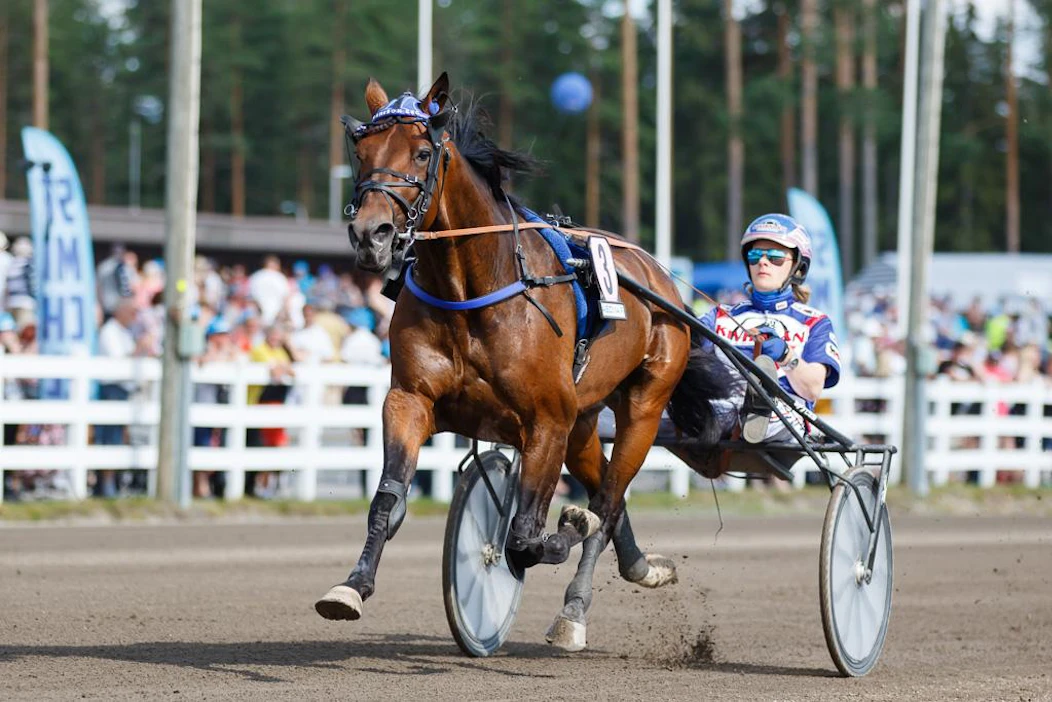 Koivusten tallin Cameron Evon kurssi on korkealla. Oriilla on allaan Joensuu-ajon voitto ja Kultaloimen kakkonen. Oriin omistavat Iivo Niskanen, Kari Lähdekorpi, Arvo Ylitalo ja Jethro Rostedt.