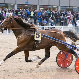 Sobel Conway oli viime viikon kovin hevoskauppa. Kari Lähdekorpi möi - Antti Ojanperä osti.