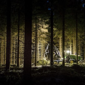 Ei metsäteollisuuden pääkonttoreita Helsingissä ilman metsiä muualla Suomessa, Tytti Määttä muistuttaa.