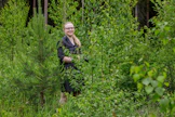 Puiden jalostuksessa ja metsänviljelyssä keskeistä on uudistamisvarmuus, sanoo erikoistutkija Katri Himanen Luonnonvarakeskuksesta. Kymmenvuotinen puusto on nykyisin kasvussa pidemmällä kuin 1980-luvulla.