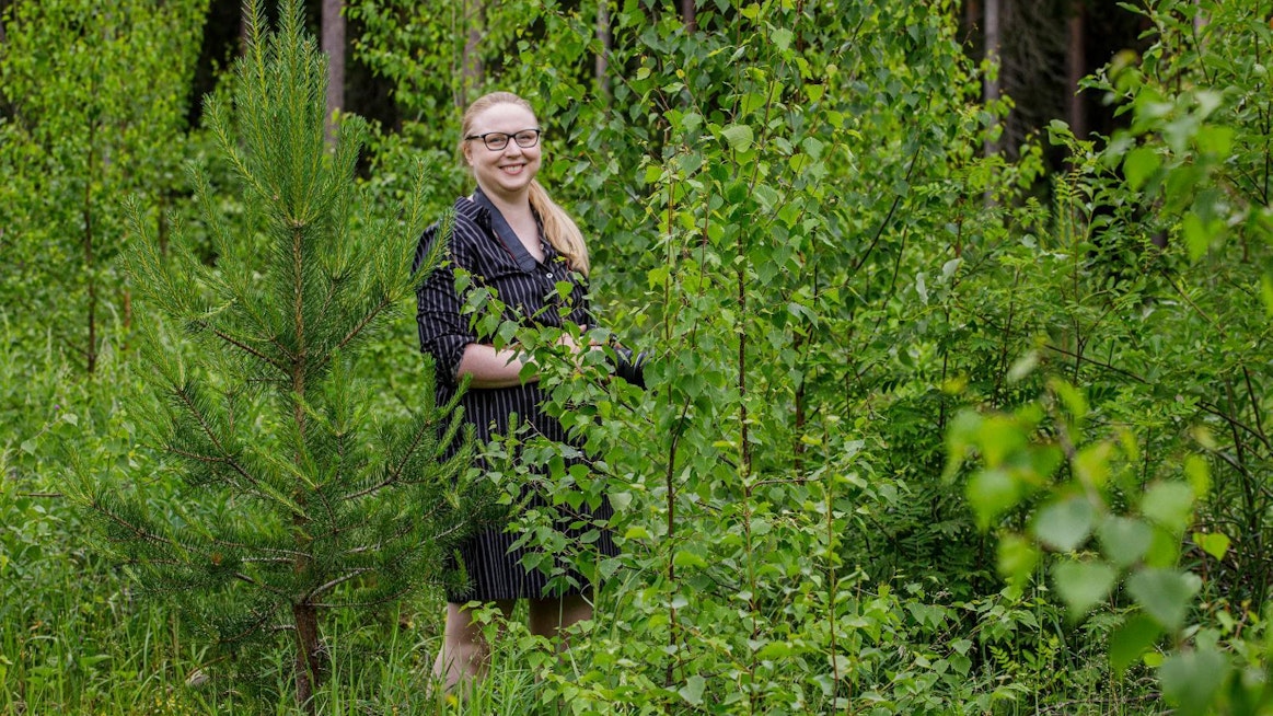 Puiden jalostuksessa ja metsänviljelyssä keskeistä on uudistamisvarmuus, sanoo erikoistutkija Katri Himanen Luonnonvarakeskuksesta. Kymmenvuotinen puusto on nykyisin kasvussa pidemmällä kuin 1980-luvulla.