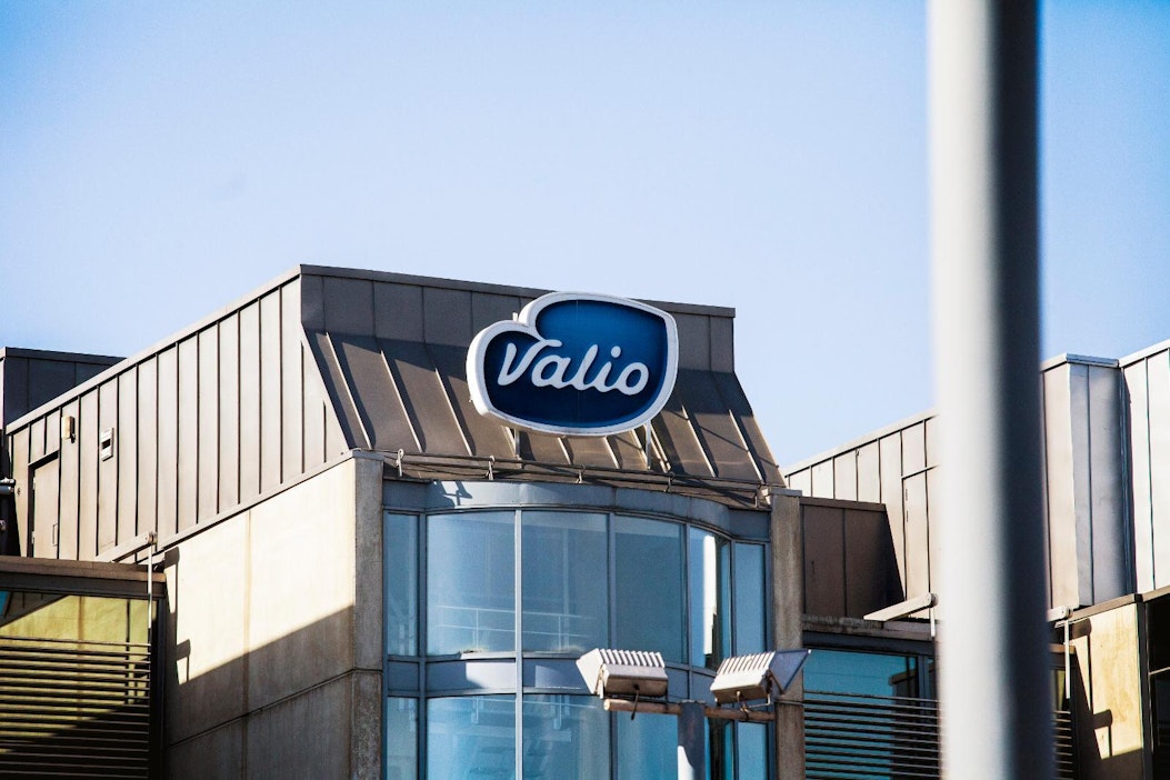 Kaksi kolmasosaa Valion viennistä Yhdysvaltoihin koostuu emmental-juustosta.