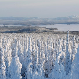 Lunta on tänä jouluna vain Pohjois-Suomessa ja Itä-Suomen pohjoisosassa.