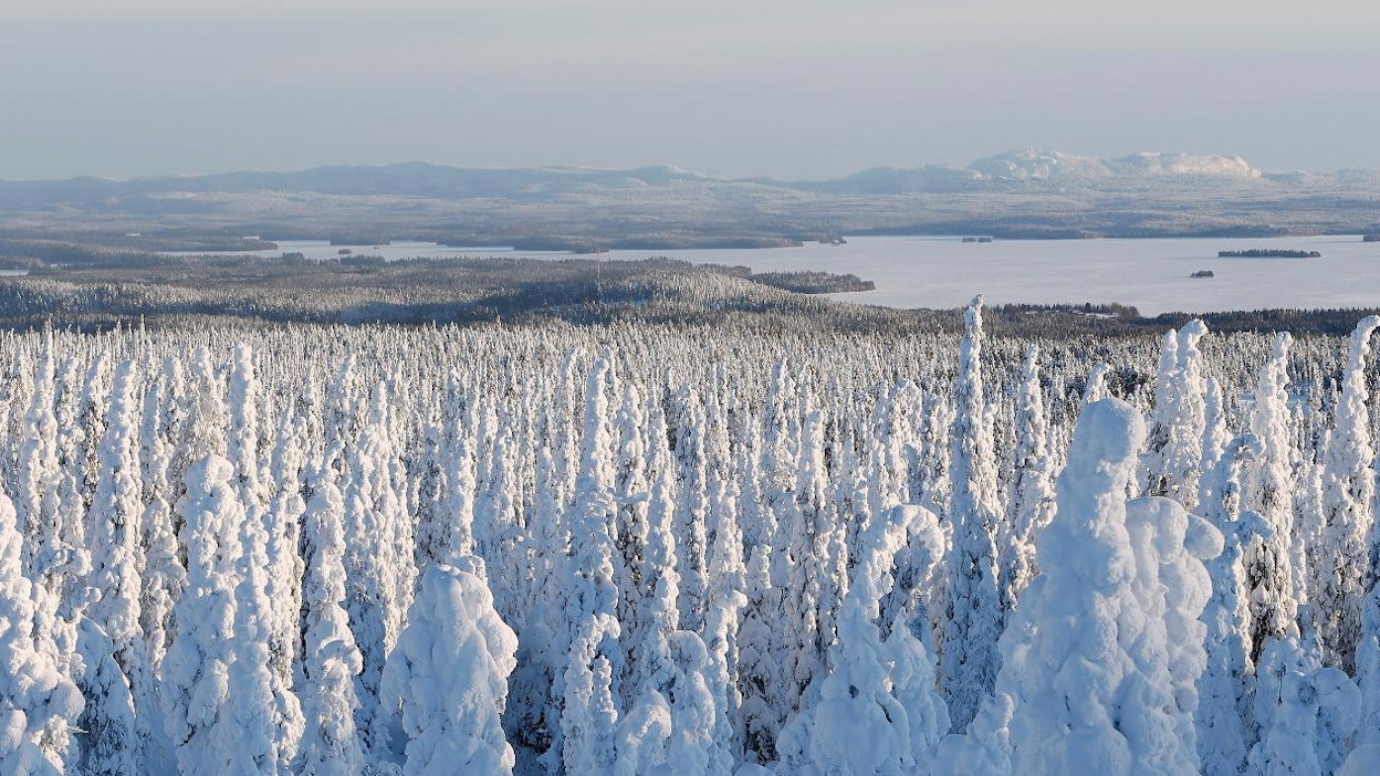 Lunta on tänä jouluna vain Pohjois-Suomessa ja Itä-Suomen pohjoisosassa.