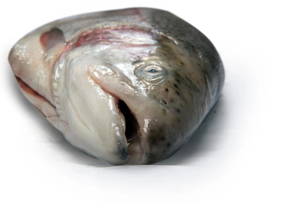 Kalanmaksan käyttökelpoisuuden ja maukkauden ovat tähän mennessä todenneet sekä kuluttajaraateihin osallistuneet maistelijat että ravintola-alan ammattilaiset.