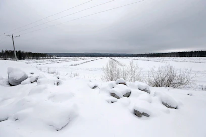 Suomessa raivataan peltoa noin 2 000–4 000 hehtaaria vuodessa. Raivaustarvetta pyritään vähentämään muun muassa tilusjärjestelyillä.