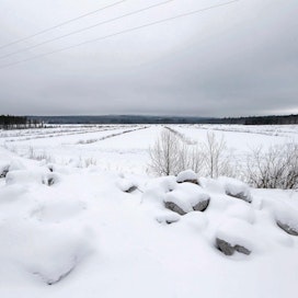 Suomessa raivataan peltoa noin 2 000–4 000 hehtaaria vuodessa. Raivaustarvetta pyritään vähentämään muun muassa tilusjärjestelyillä.