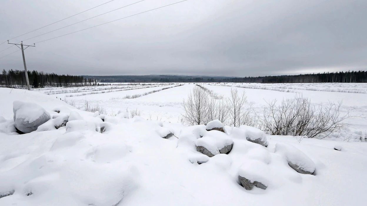 Suomessa raivataan peltoa noin 2 000–4 000 hehtaaria vuodessa. Raivaustarvetta pyritään vähentämään muun muassa tilusjärjestelyillä.