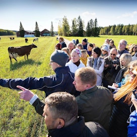 Syyskuun epävirallisen maatalousministerikokouksen yhteydessä Aino ja Mikael Wathén esittelivät luomukarjaansa eurooppalaisille maataloustoimittajille Hausjärvellä.