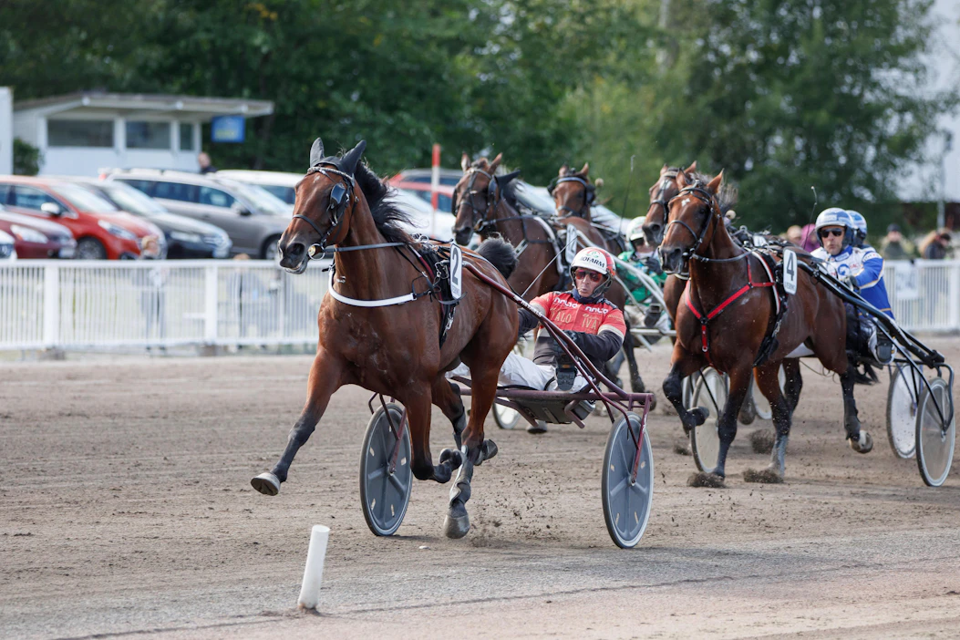 Run And Repeat ja Tapio Perttunen karkaamassa Vermon derbypäivän voittoonsa.