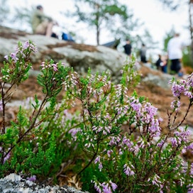 Yleisesti ottaen kansalaiset osaavat käyttäytyä luonnossa, kertoo Metsähallituksen Järvi-Suomen luontopalveluiden aluejohtaja Jouni Aarnio.