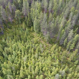 Ranskalaisen AXA:n nyt ostamat metsätilat sijaitsevat Keski-Suomessa, missä AXA:lla on ollut metsää jo entuudestaan.