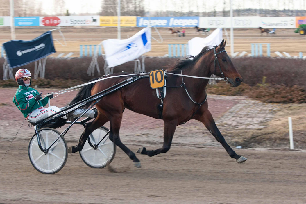 Anne Luttinen ja rataeläinlääkäri Jukka-Pekka Närhinen päätyivät jättämään Ranch Kellyn pois St Michelistä. Onneksi taustalla ei liene mitään vakavaa. Kuvassa ohjissa tuttuun tapaan Hannu Torvinen.