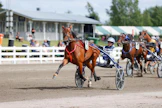 Hänen upeutensa vielä kerran: Mascate Match oli sekä 3- että 4-vuotiaana ikäluokassaan Suomessa voittamaton ja menestyi myös loistokkaasti kansainvälisissä ikäluokkakilpailuissa.